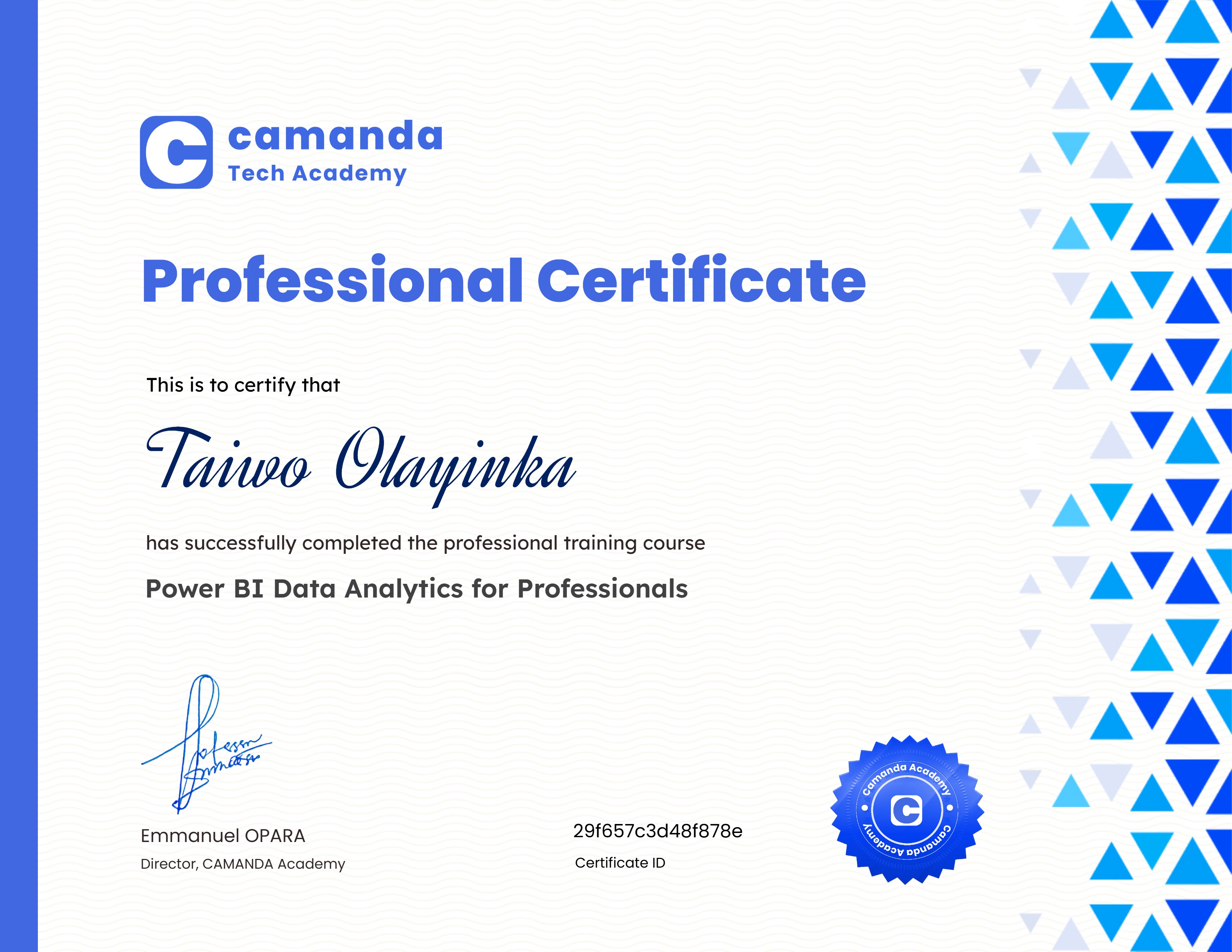 Power BI Data Analytics for Professionals